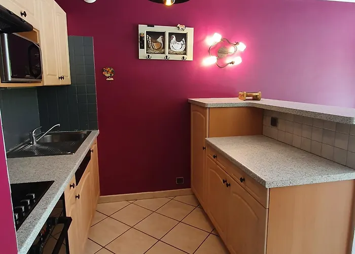 Cosy 3 Chambres, Pres Centre Chatel, Animaux Admis - Fr-1-676-239 Châtel